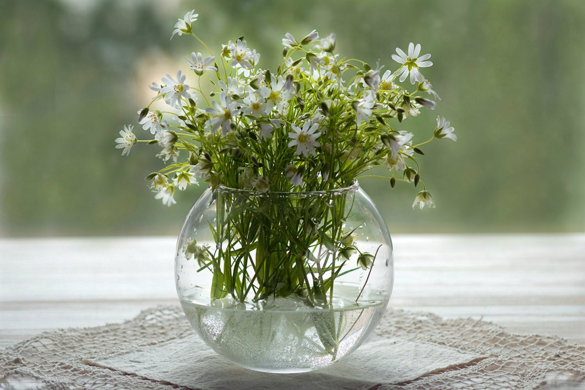 Полевые цветы в вазах