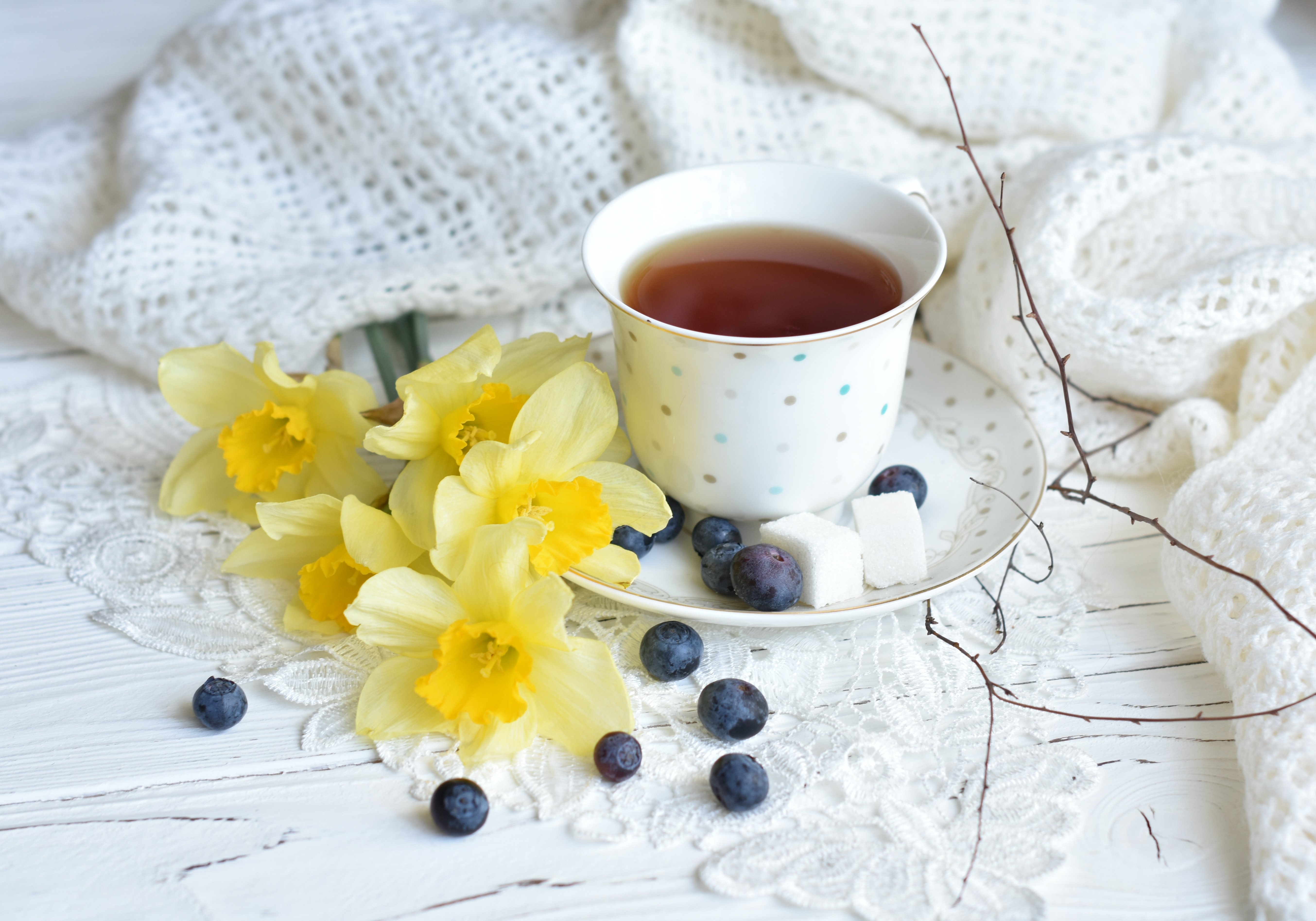 Ранняя Весна утро чай