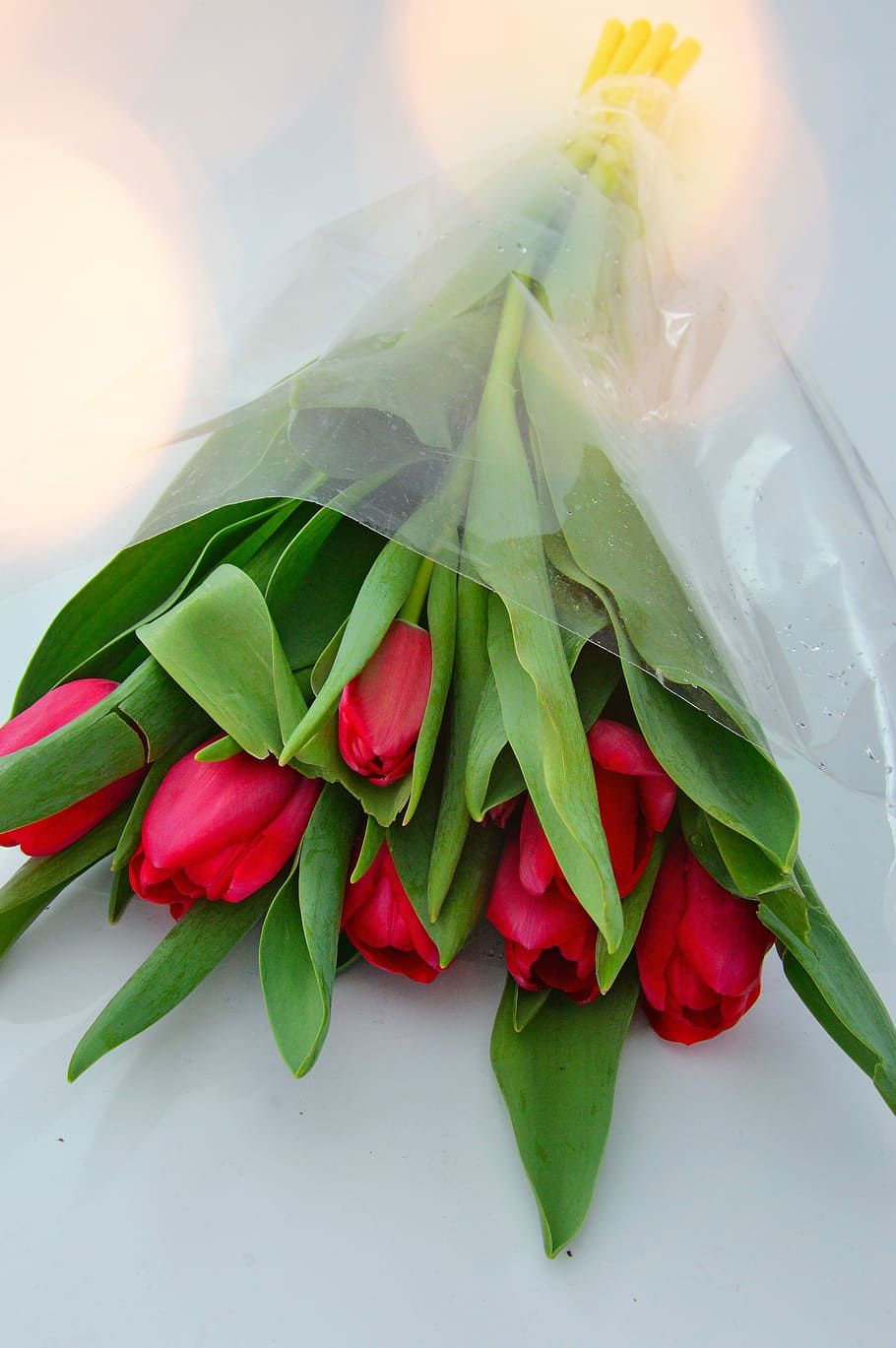 Букеты живых цветов тюльпаны