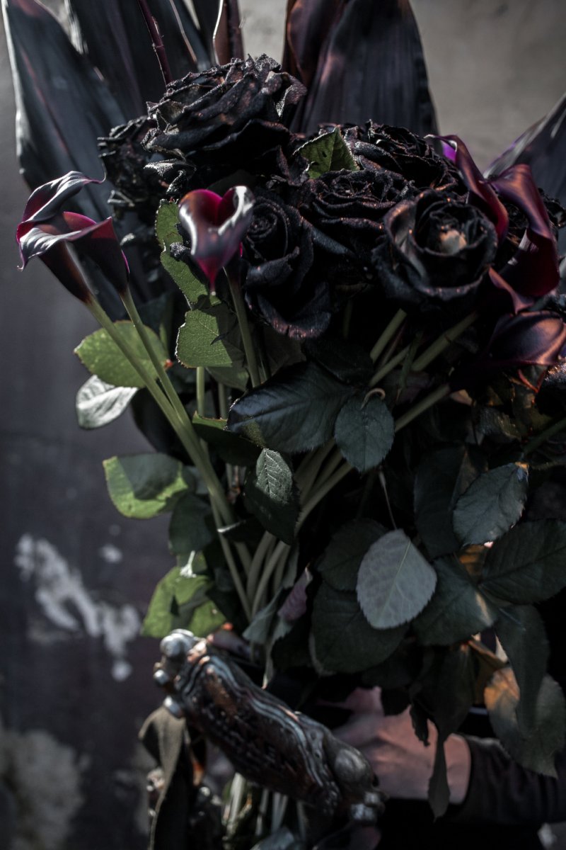 Сад с черными розами