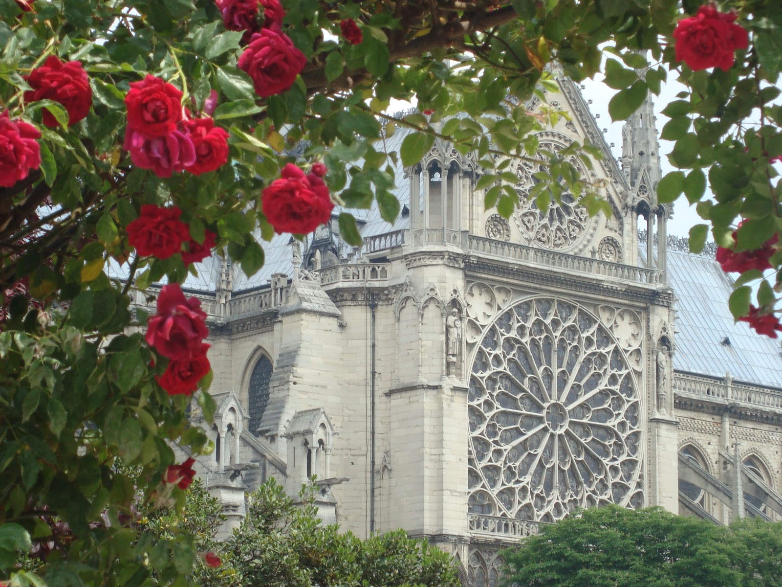 Южная роза собора Парижской Богоматери