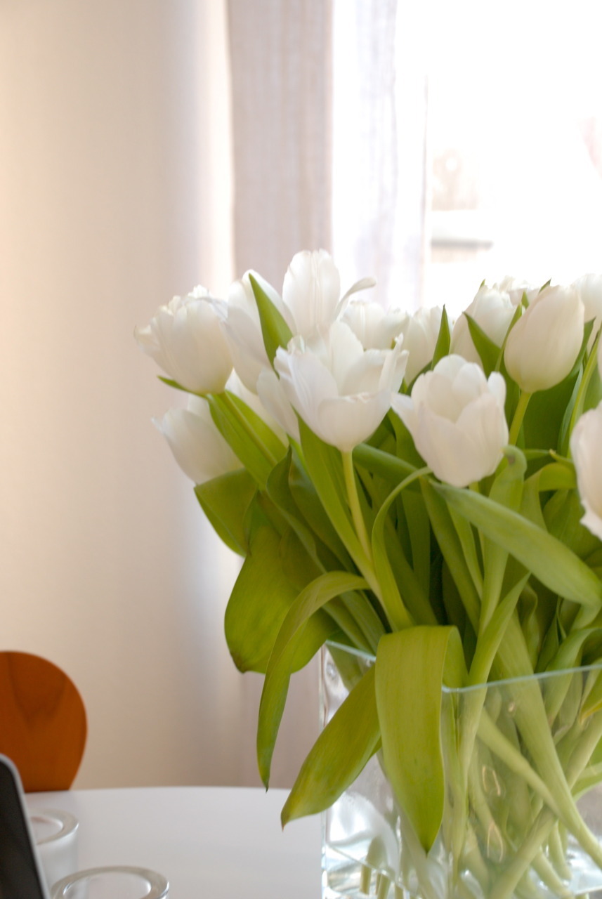 Белые тюльпаны в вазе на окне