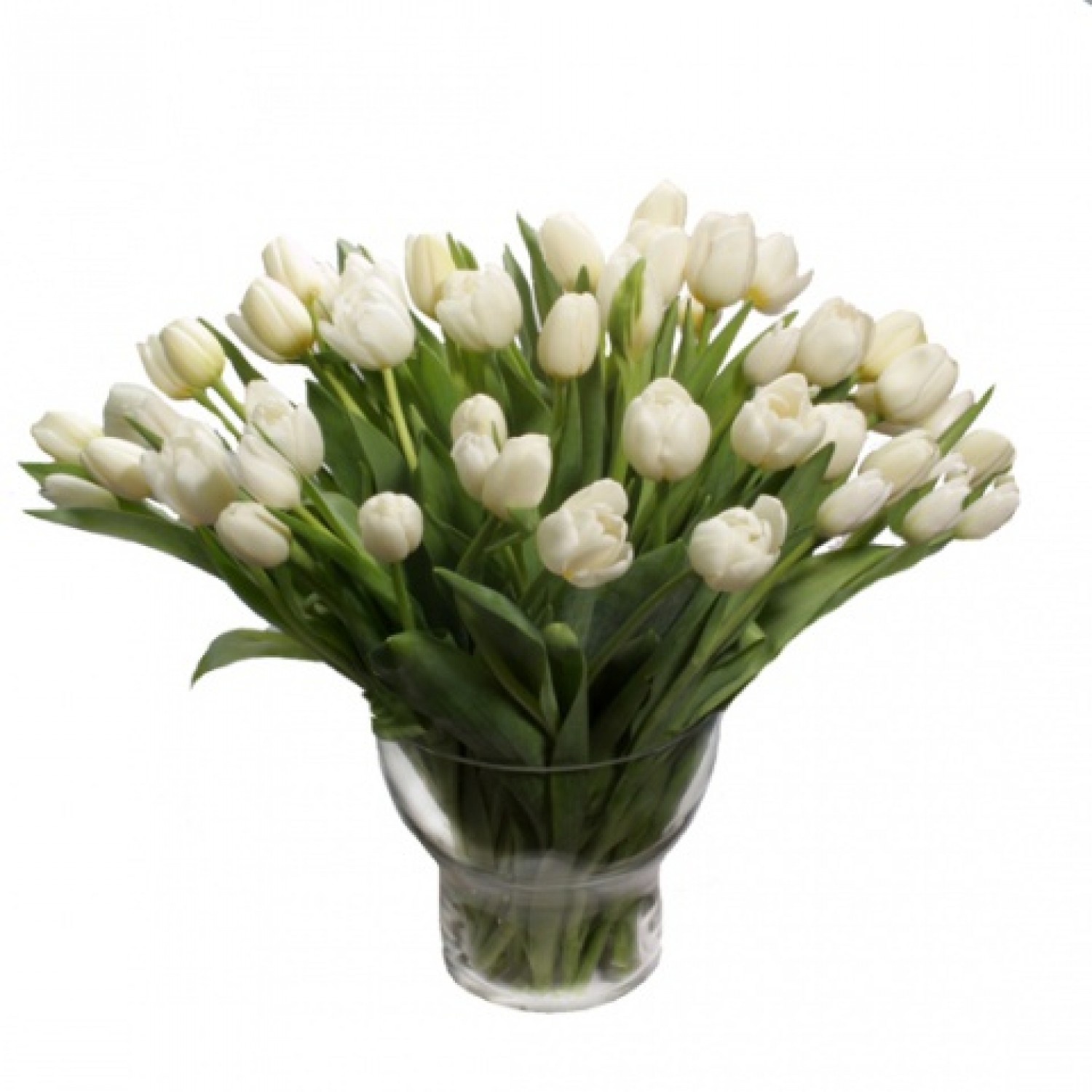 Белые тюльпаны 51 шт букет