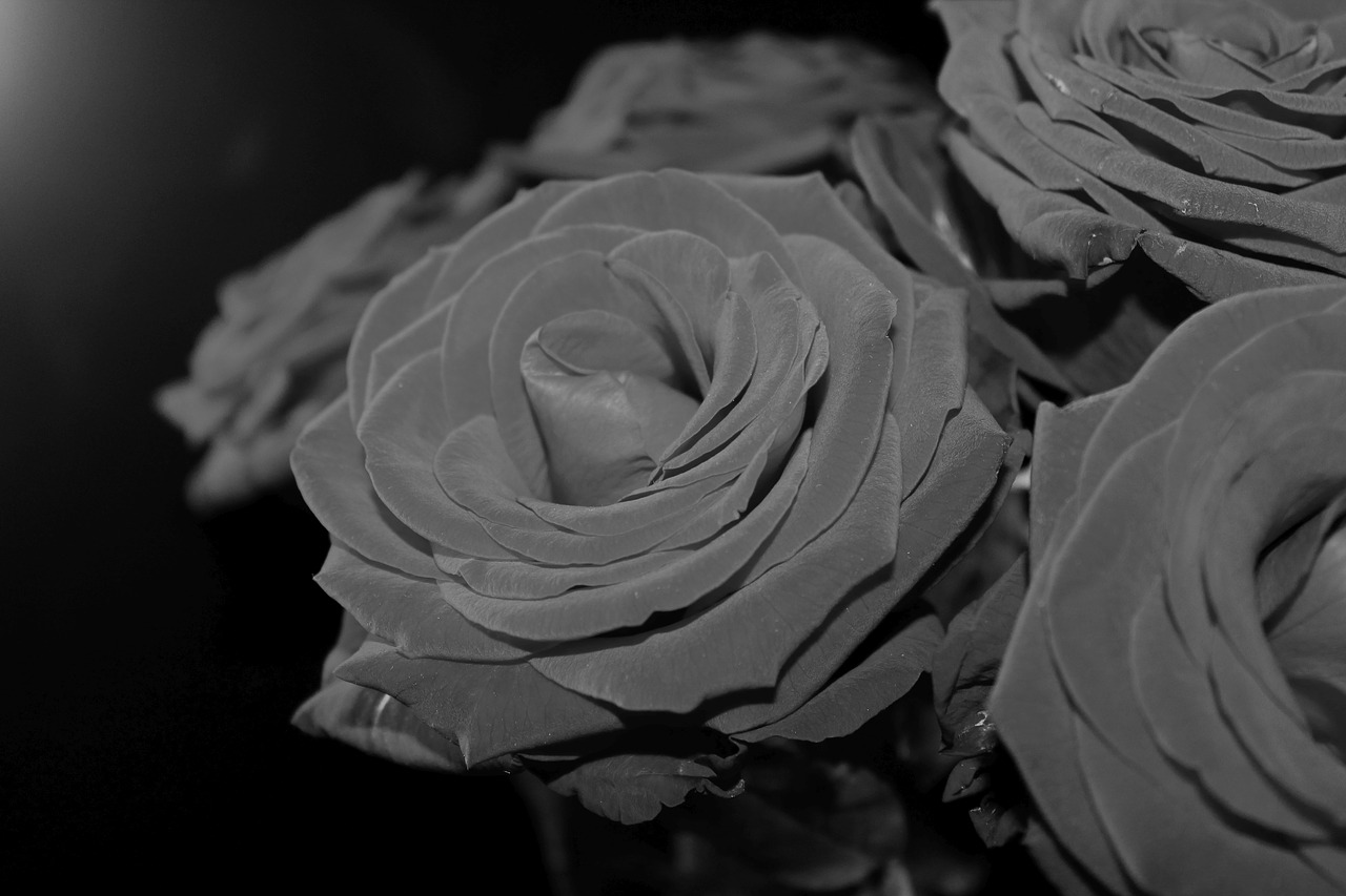 Букет состоящий из белых и черных роз