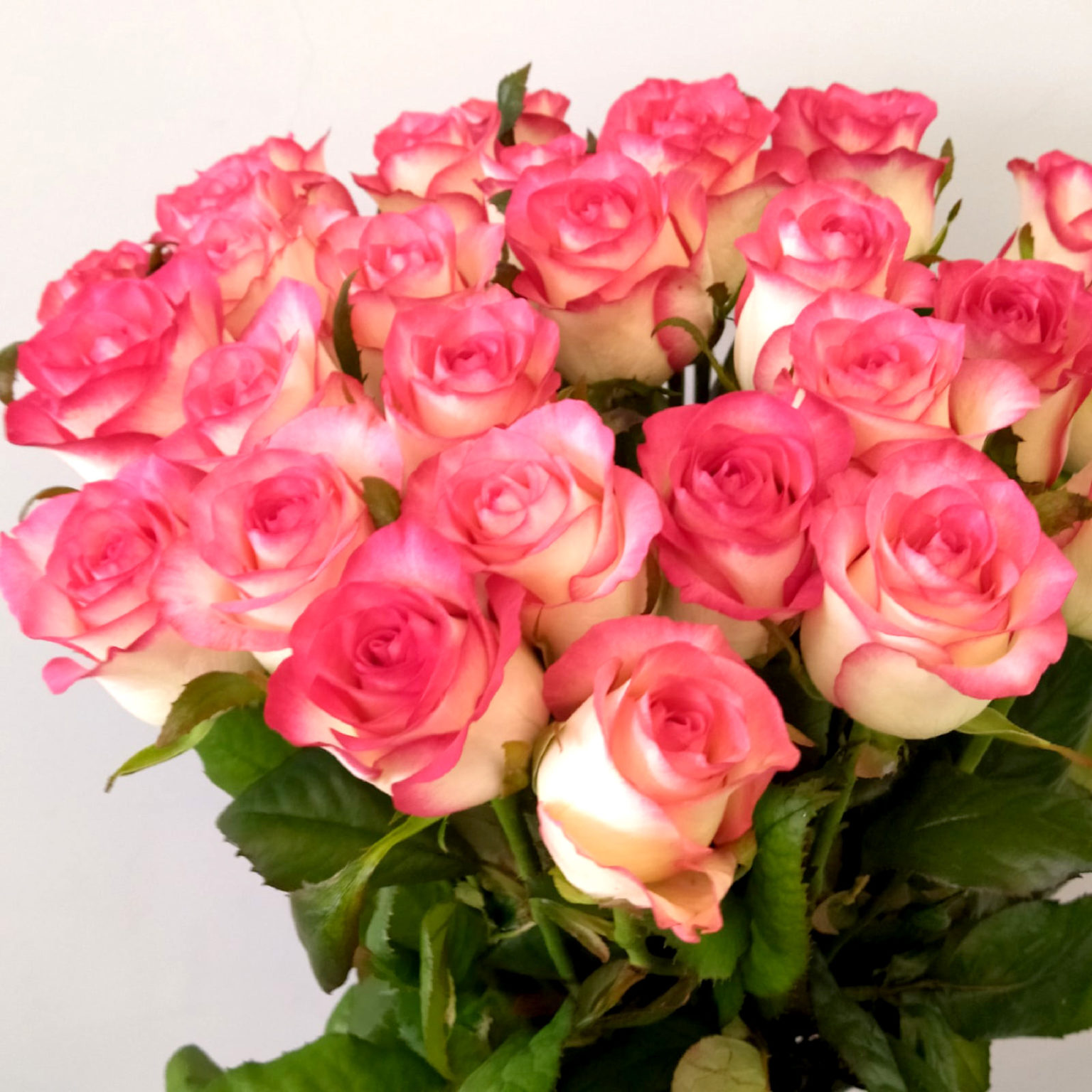 Букеты из роз сорта Джумилия