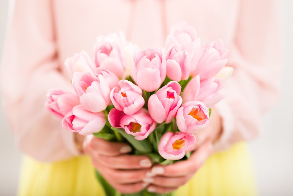 Розовые тюльпаны в руках