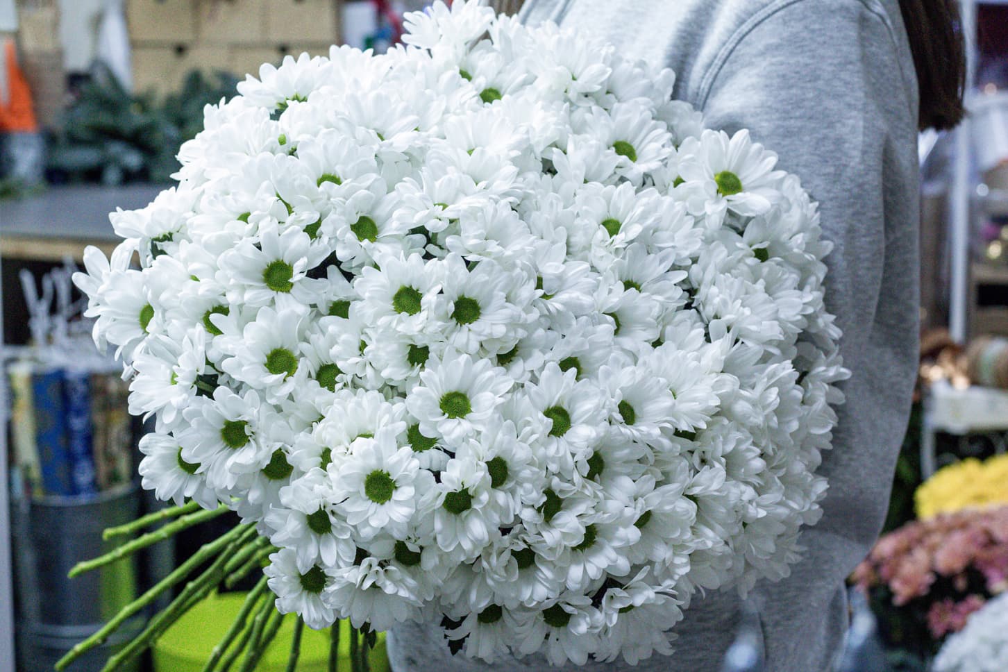свадебная хризантема фото