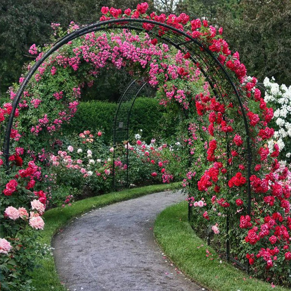 Композиции с розами в саду
