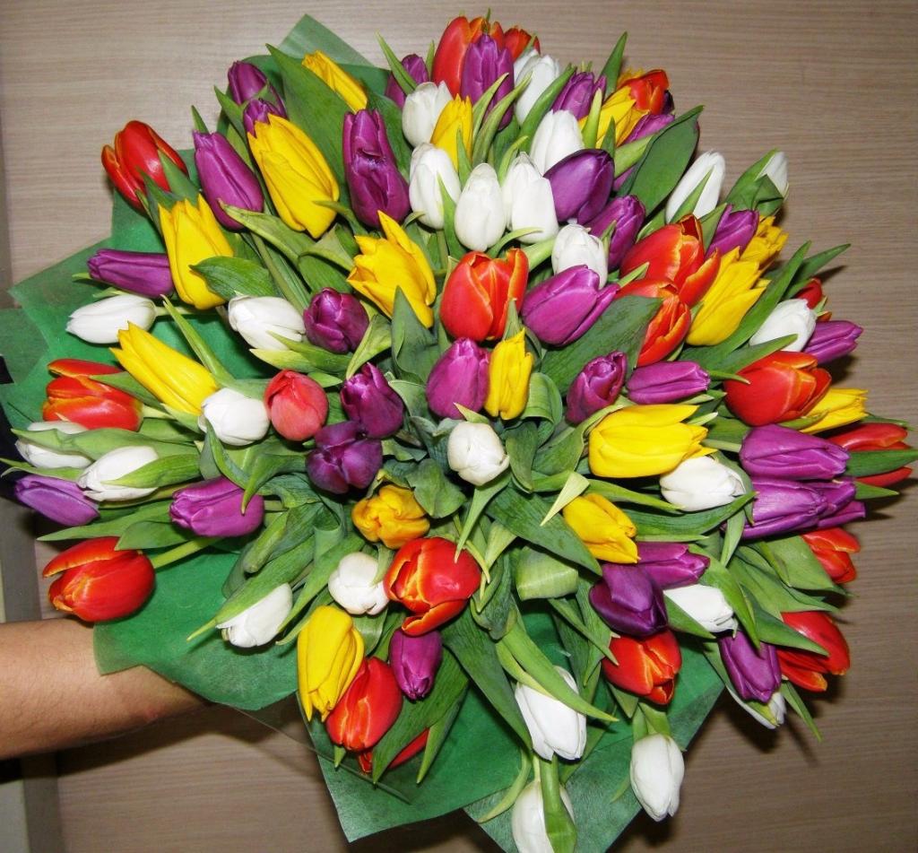 Дарю букет тюльпанов