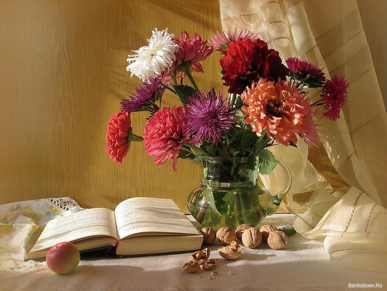 Фотонатюрморты с цветами и книгами