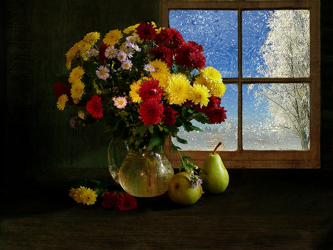 Хризантемы на окне
