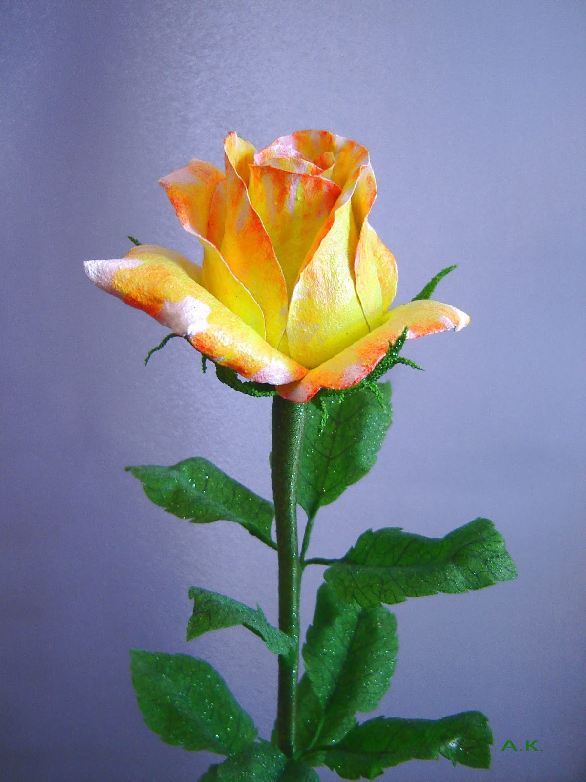Роза трехцветка