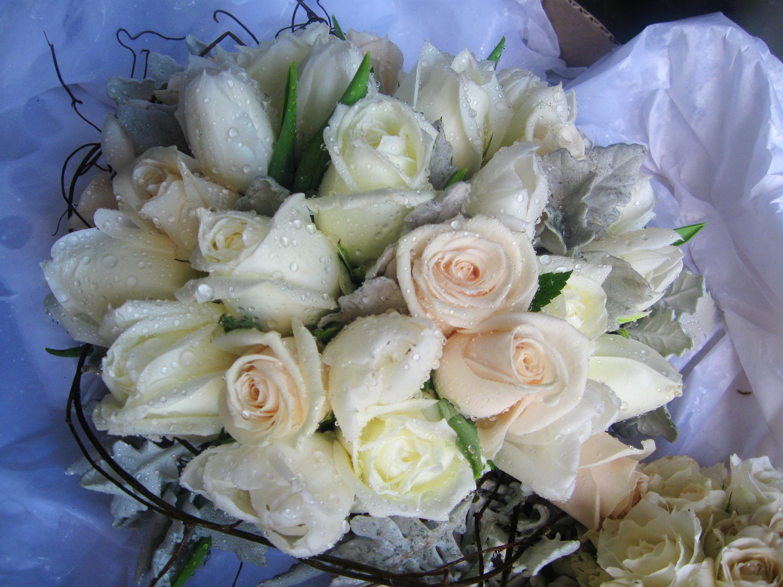 Букет белых роз с днем рождения