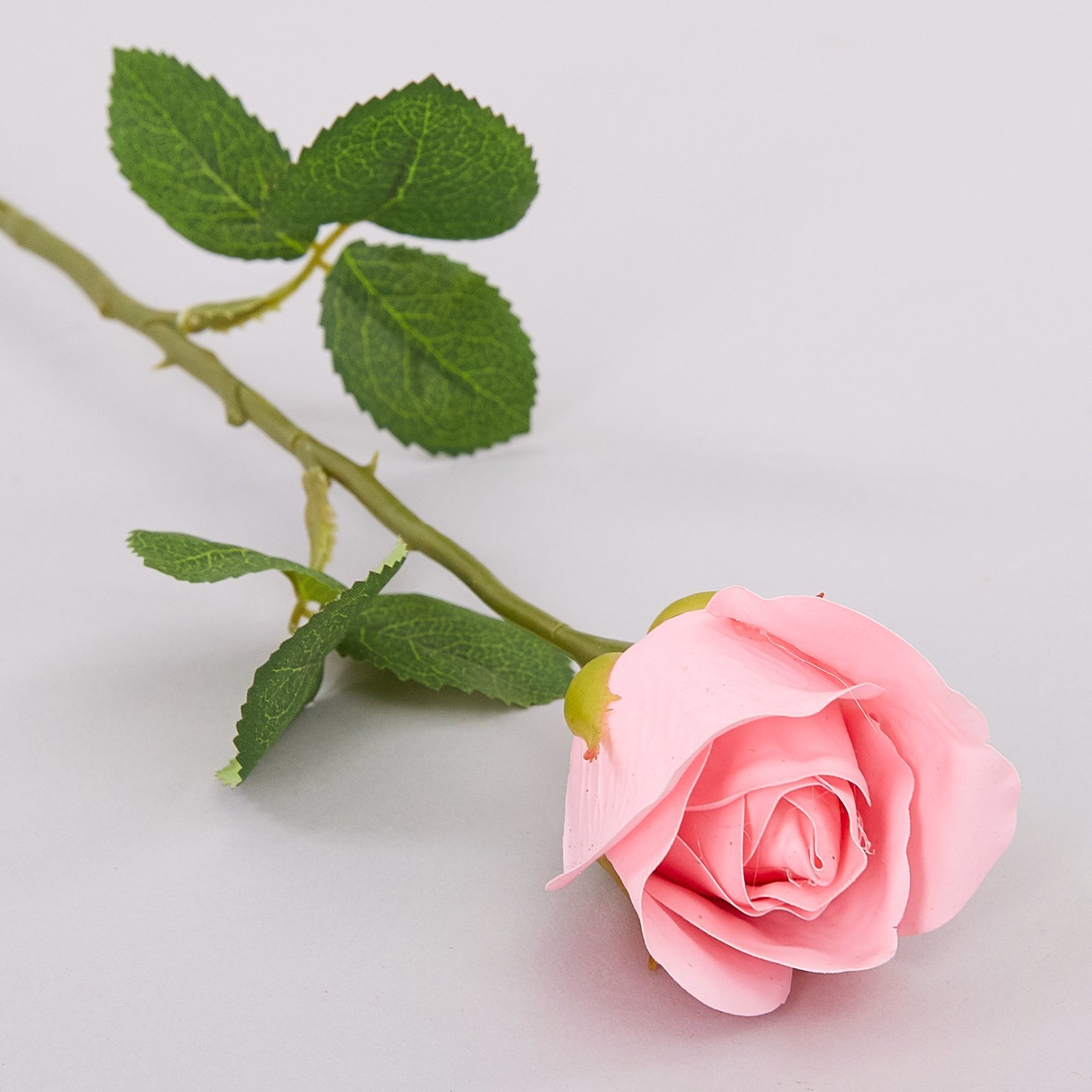 Одна розовая роза