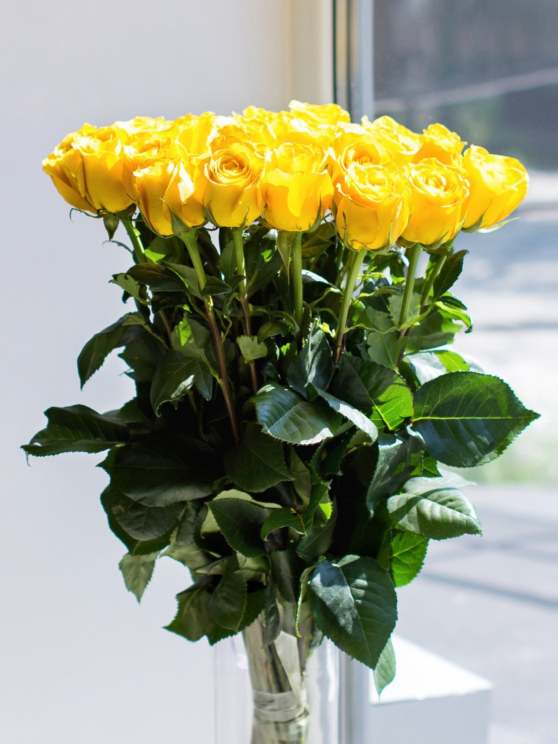 Желтые розы Эквадор