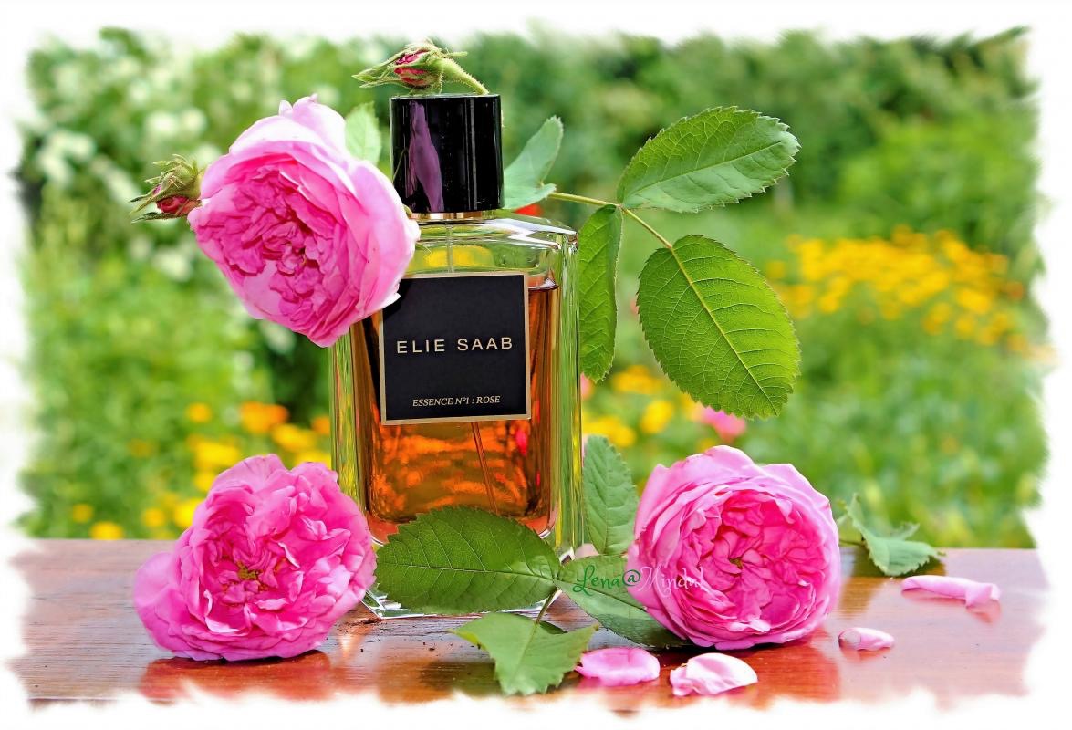 Elie Saab Essence no. 1 Rose