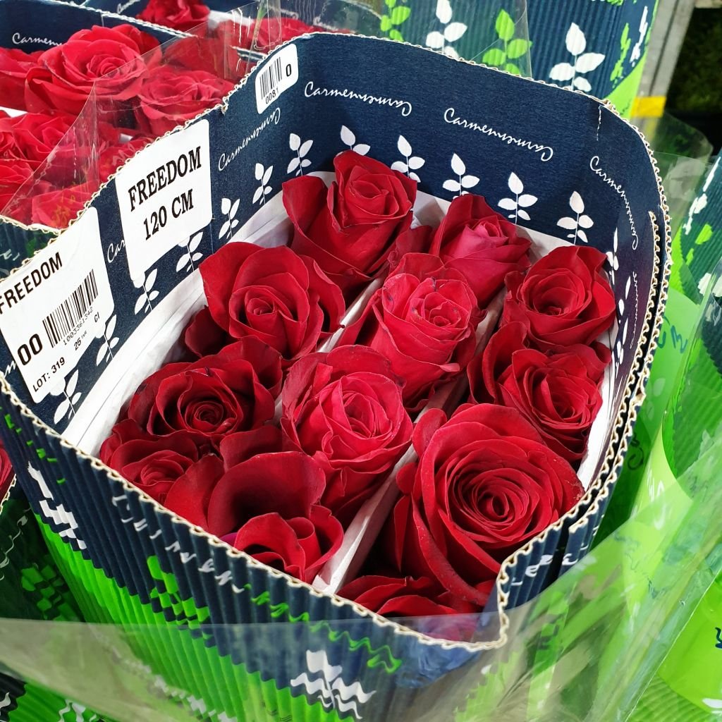 Где Можно Купить Розы В Москве