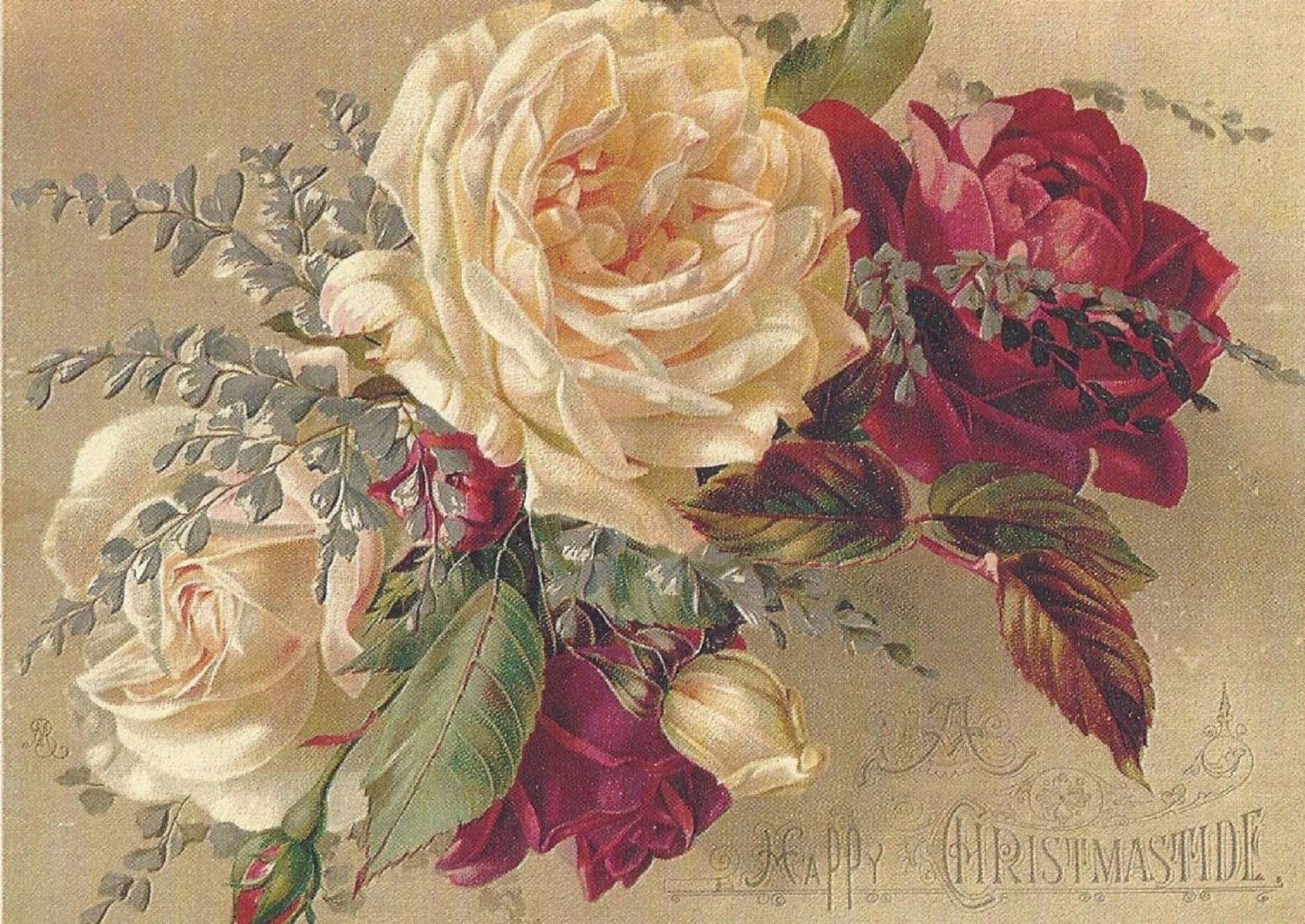 Винтажные розы