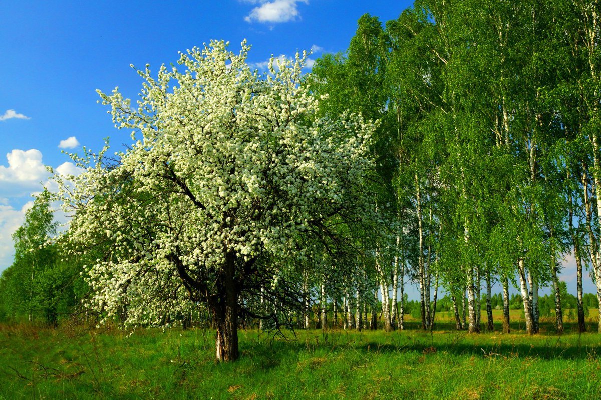 Май картинки фото