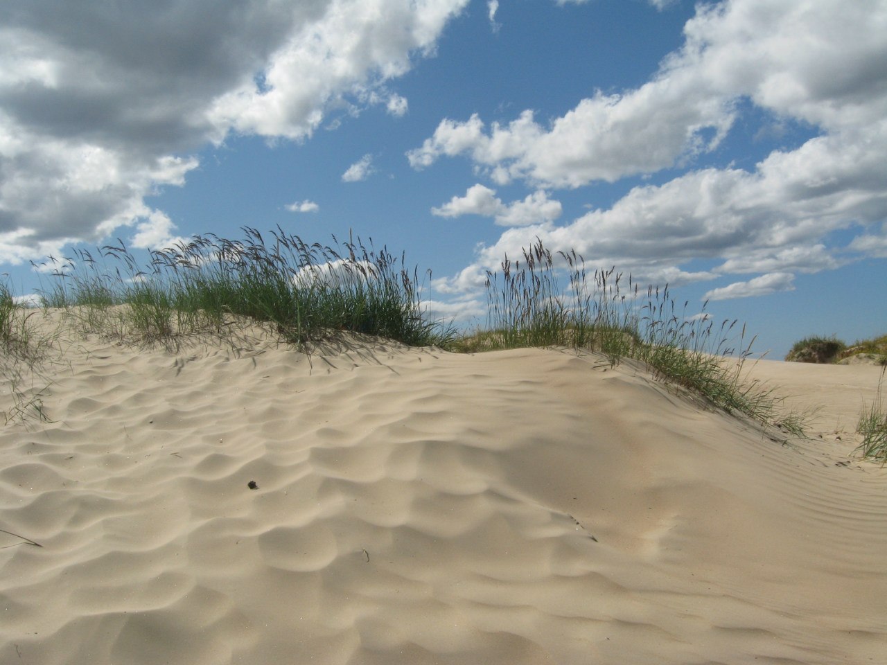 Песчаные дюны финского залива