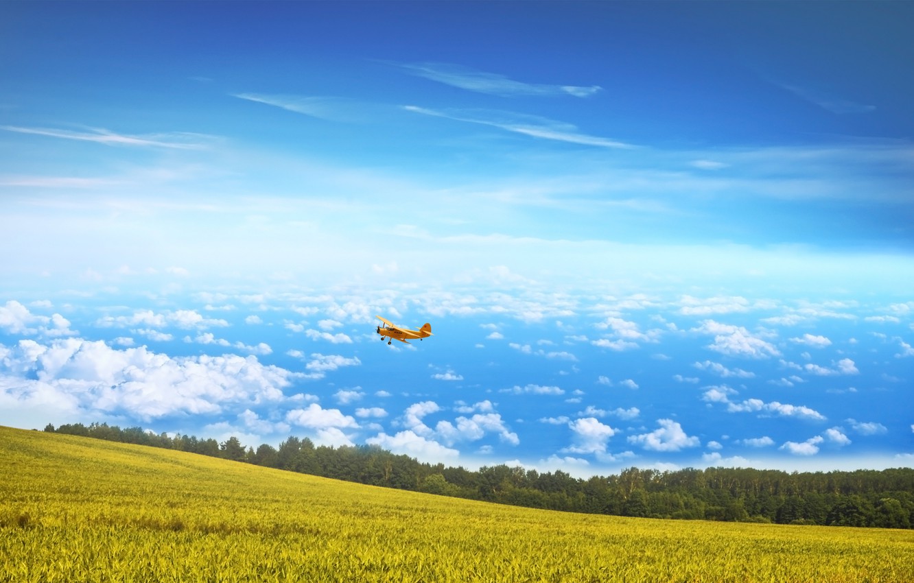Кукурузник в небе