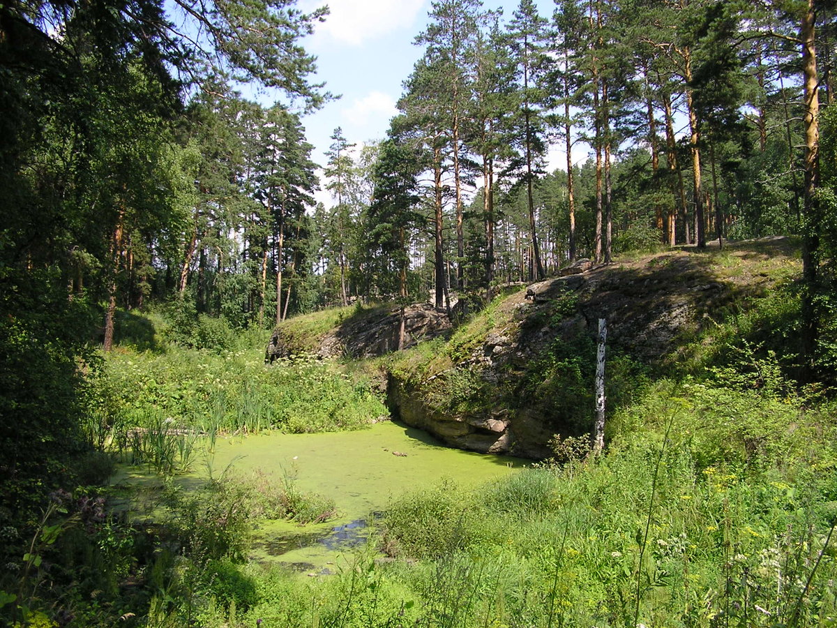 Карагайский лес