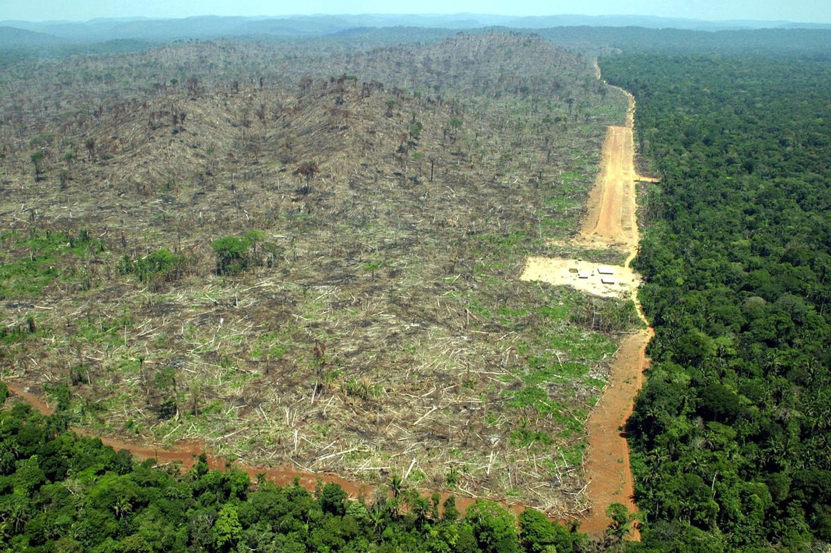Вырубка лесов в Южной Америке