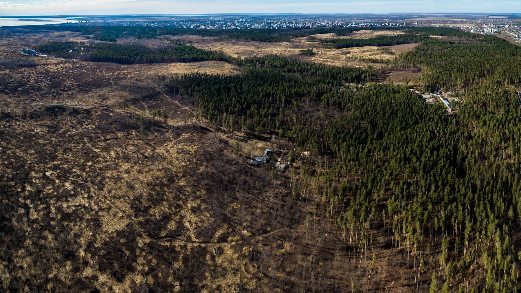 Лес Тольятти с высоты