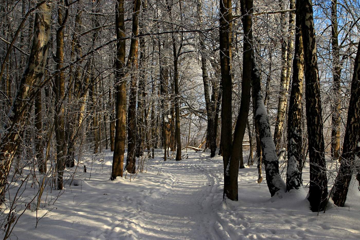 Лысая гора Битцевский парк зимой