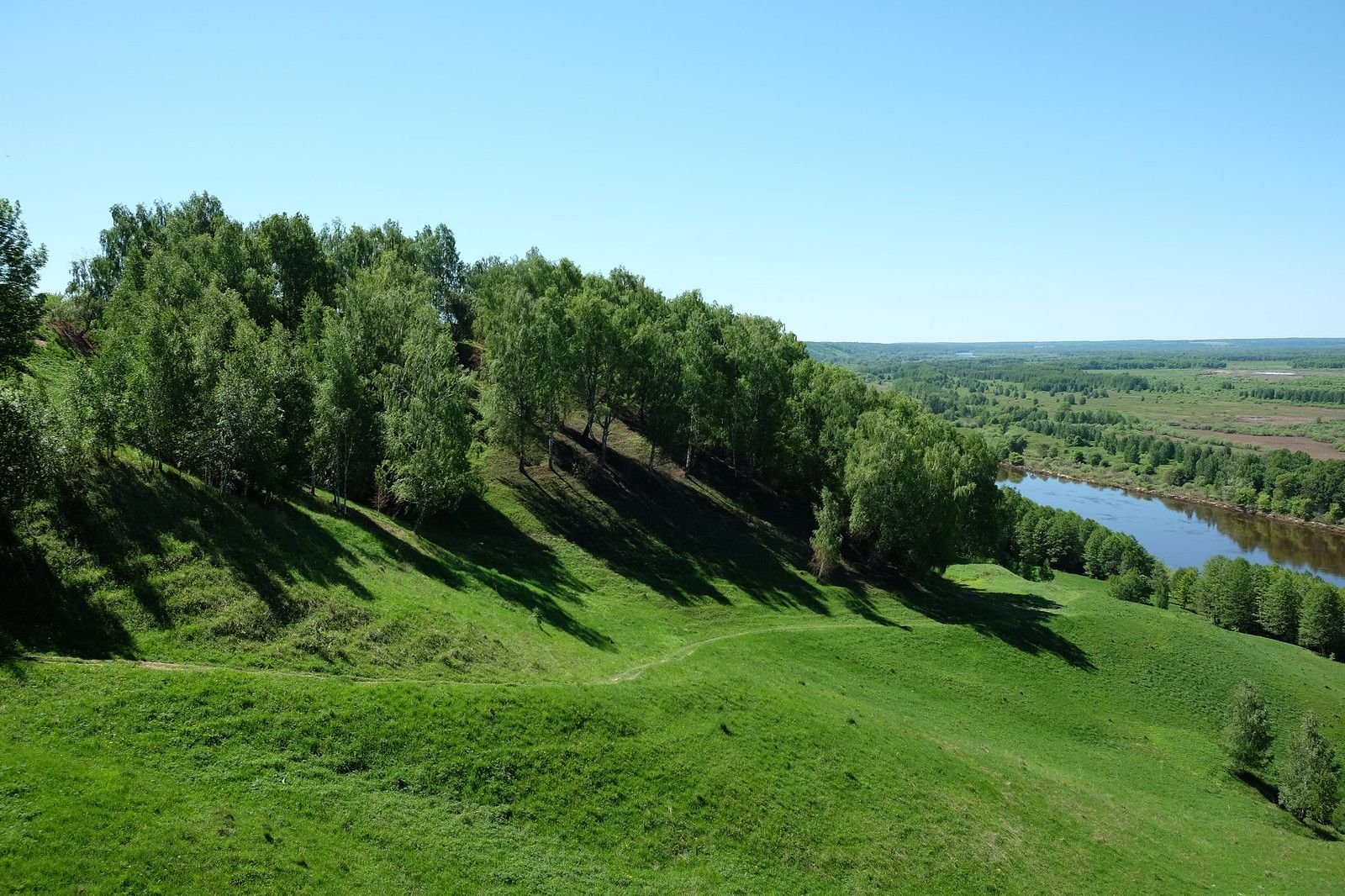 Картина лысая гора