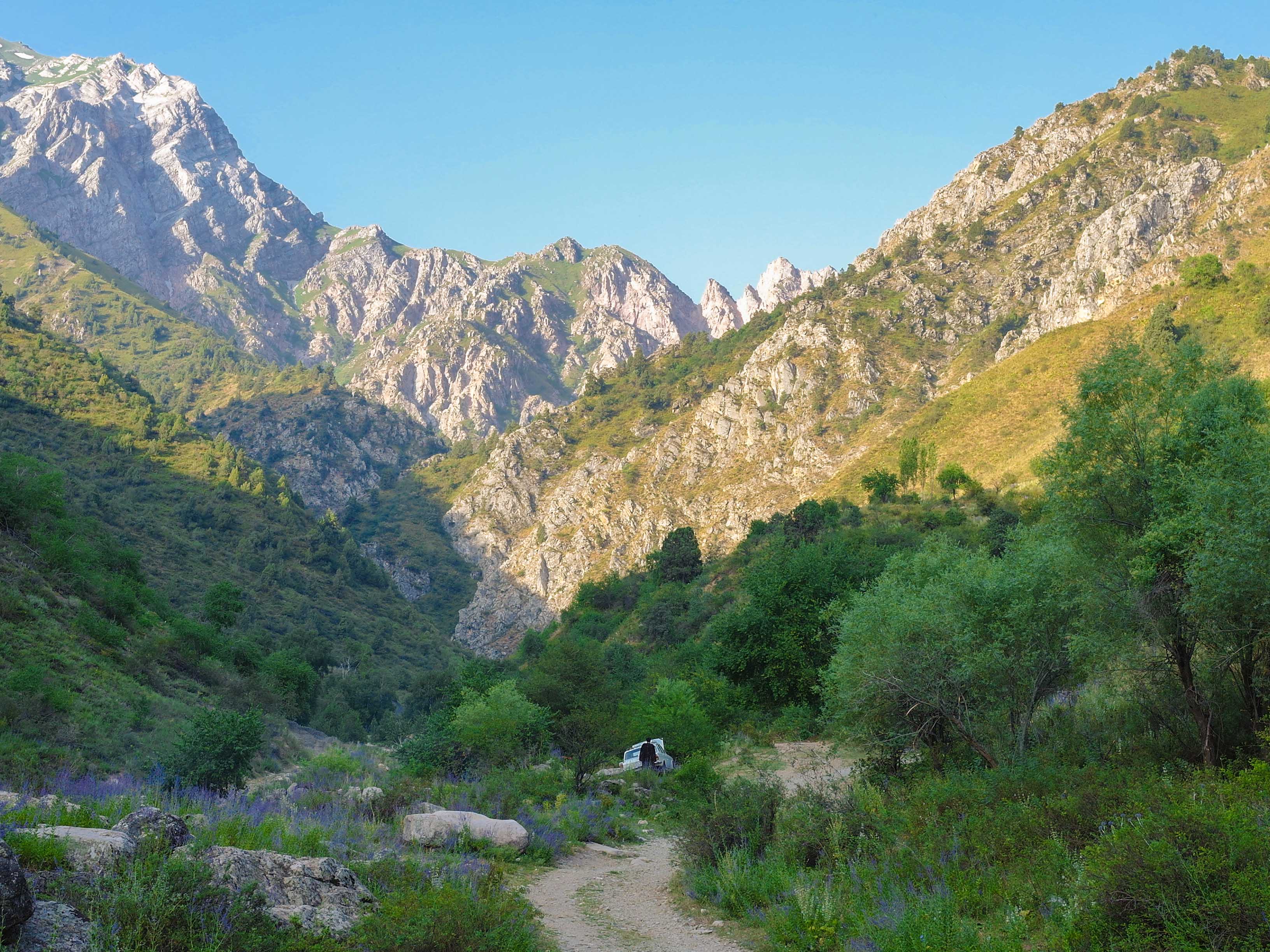 горы в узбекистане чимган