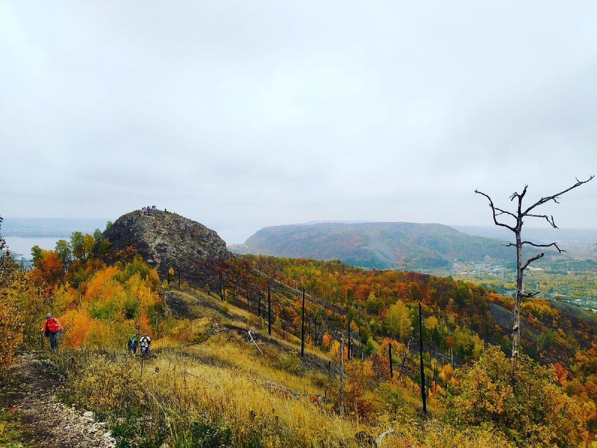 гора шишка жигулевск