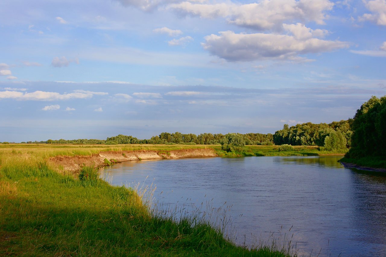 балашов тарасова гора