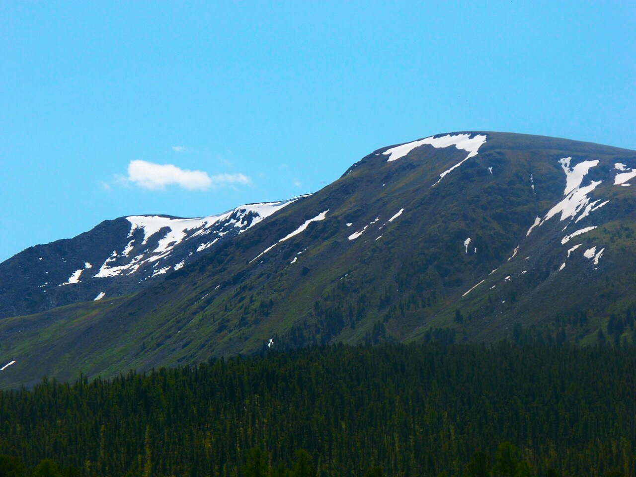 Кабак Тайга гора Алтай
