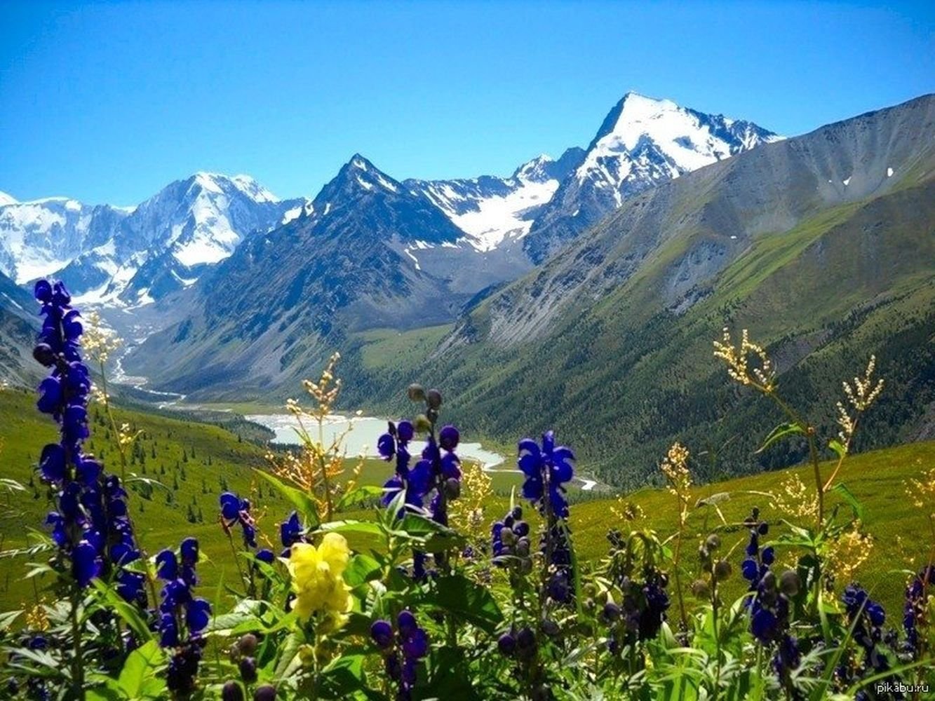 Горы России Алтай