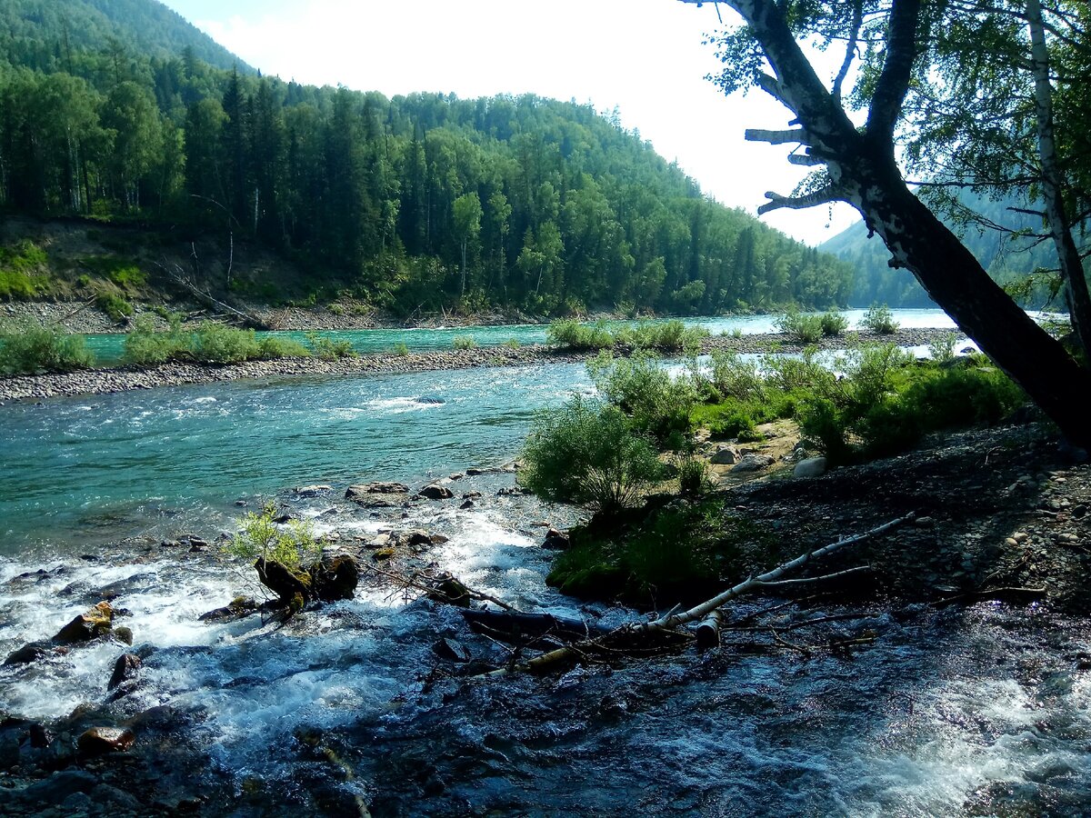 Река Иня на Алтае