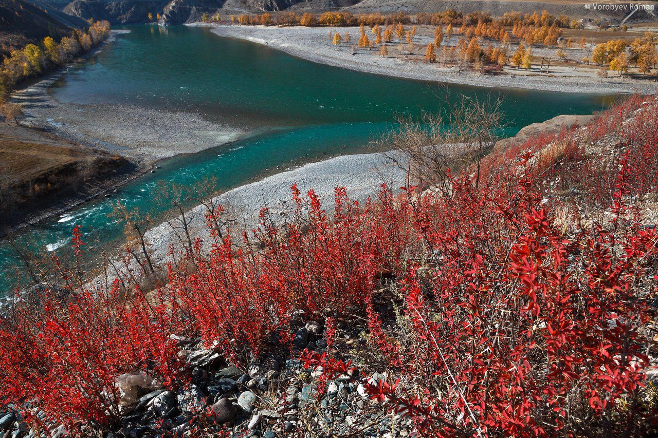 Река Катунь в октябре