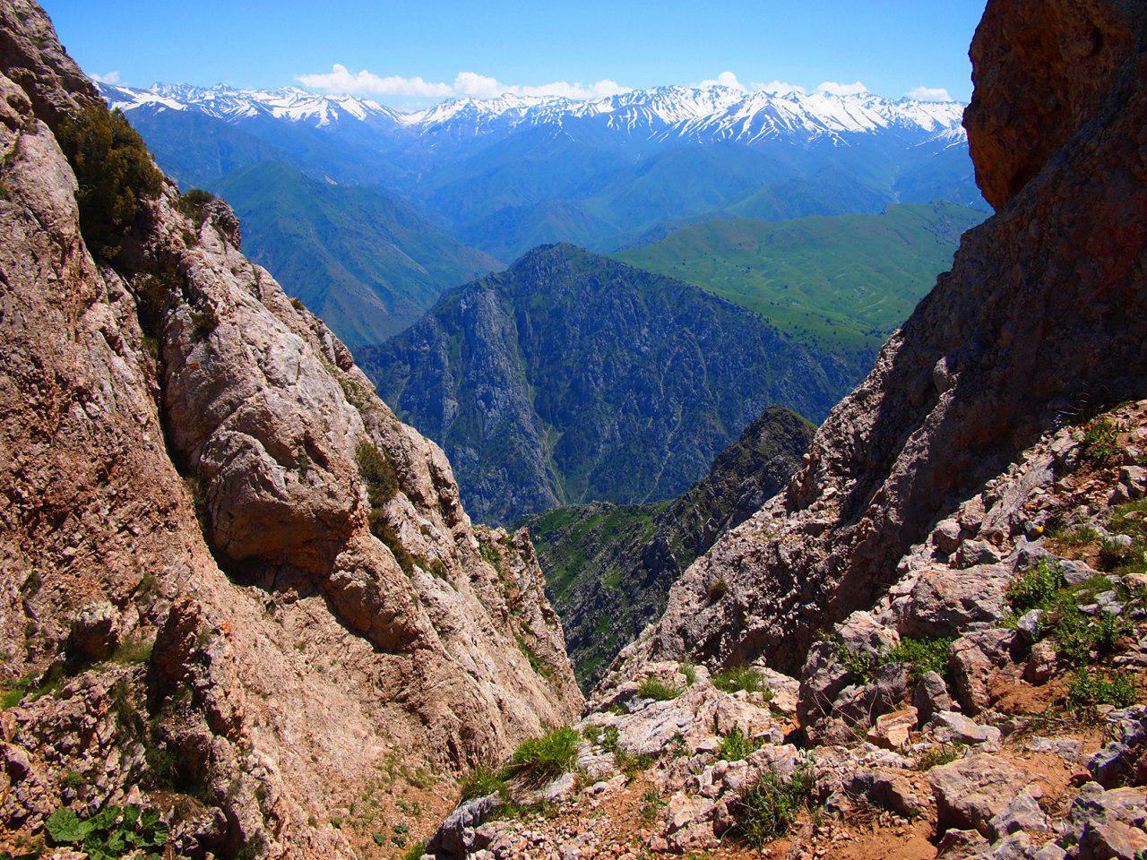 Чимганские горы Узбекистан