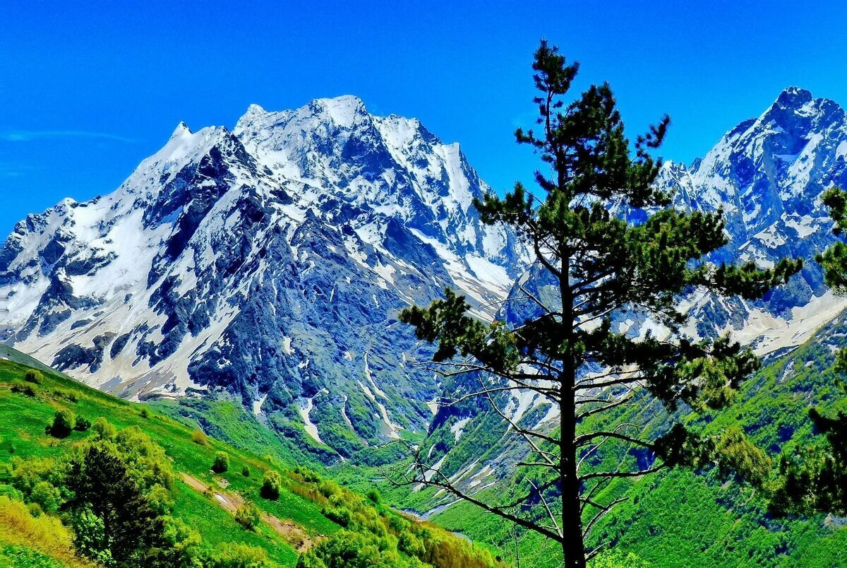 Северный Кавказ горы Домбая