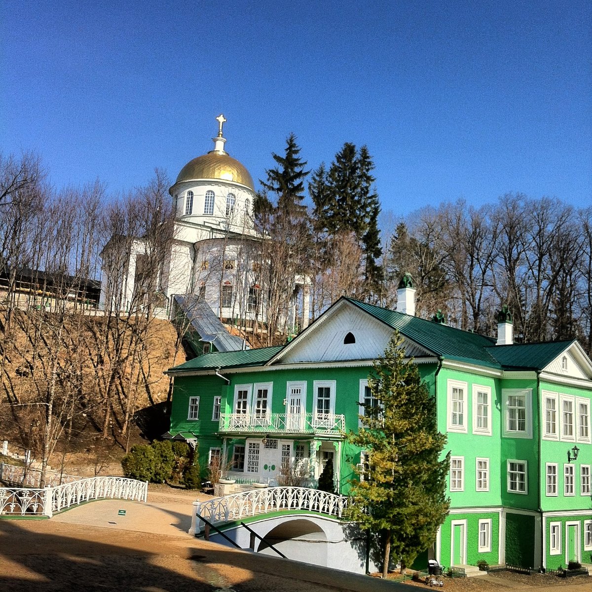 Пушкинские горы город