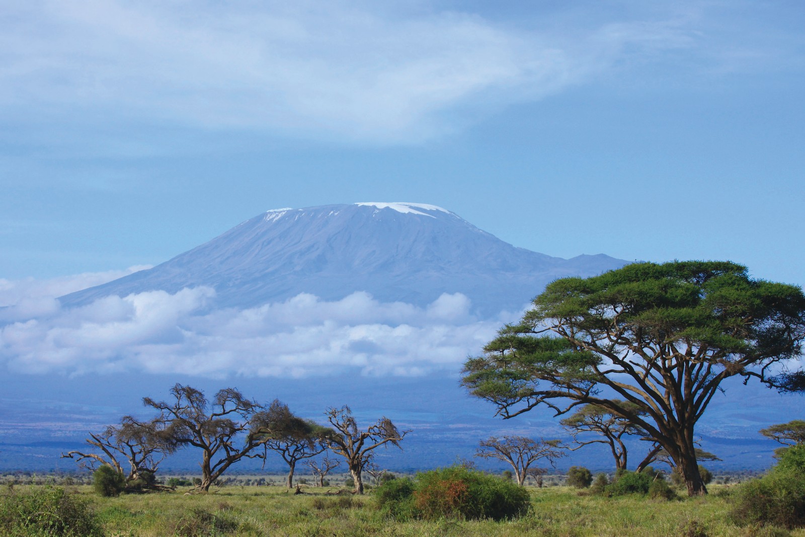 Танзания Килиманджаро водопад
