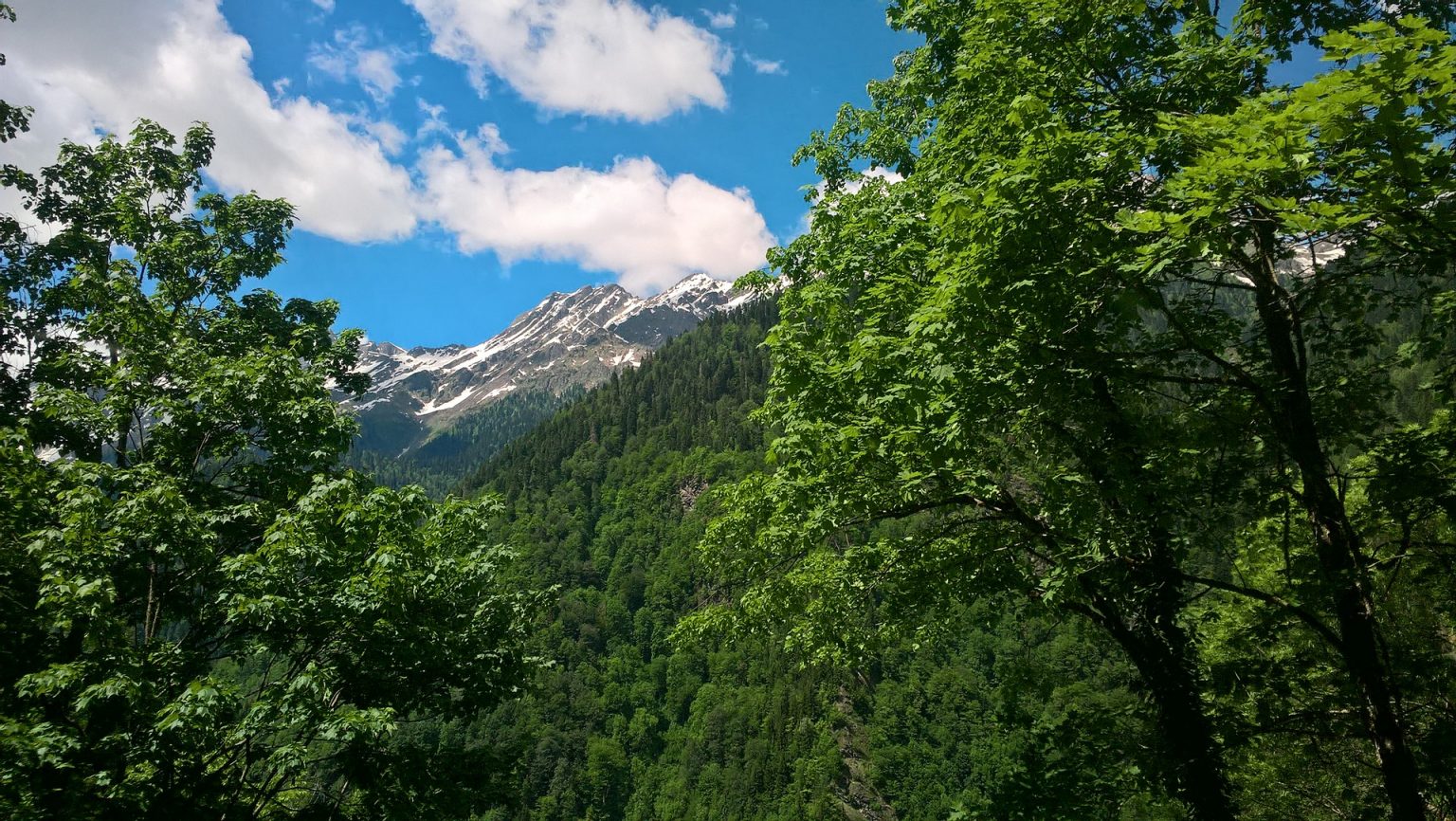 Лысая гора Абхазия
