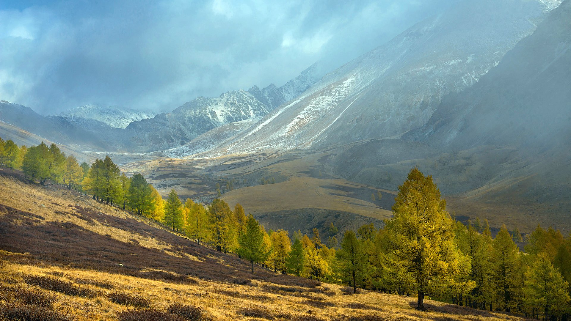 Курайская степь Республика Алтай