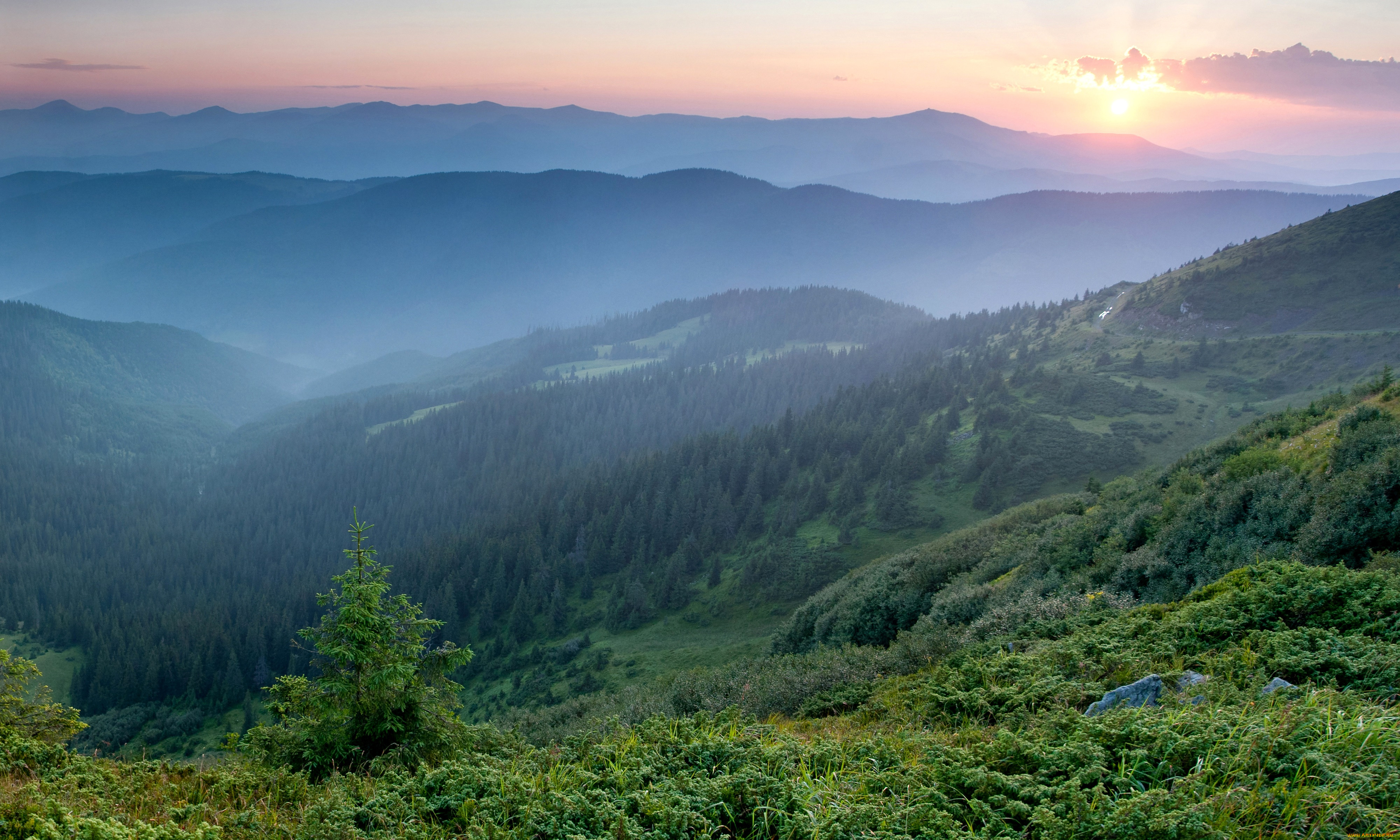 карпаты венгрия