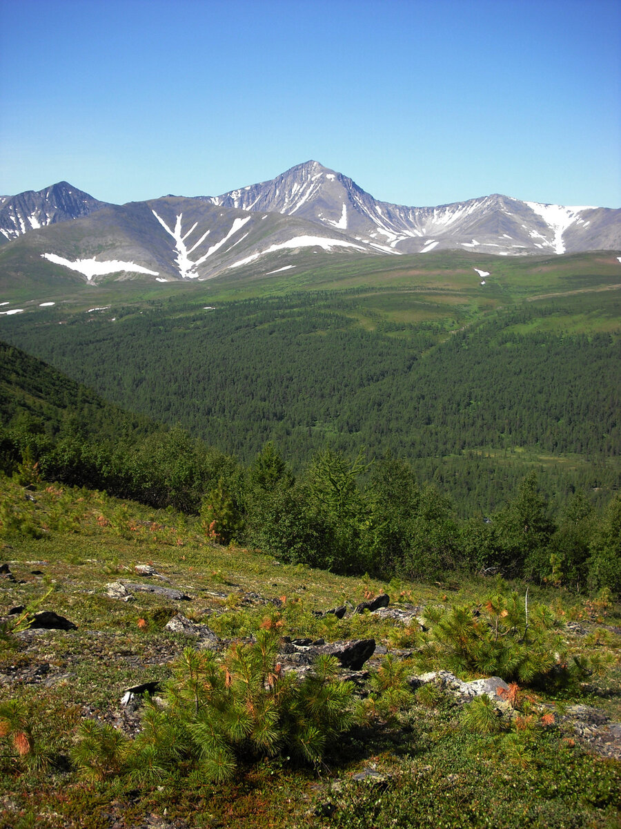 уральские горы на