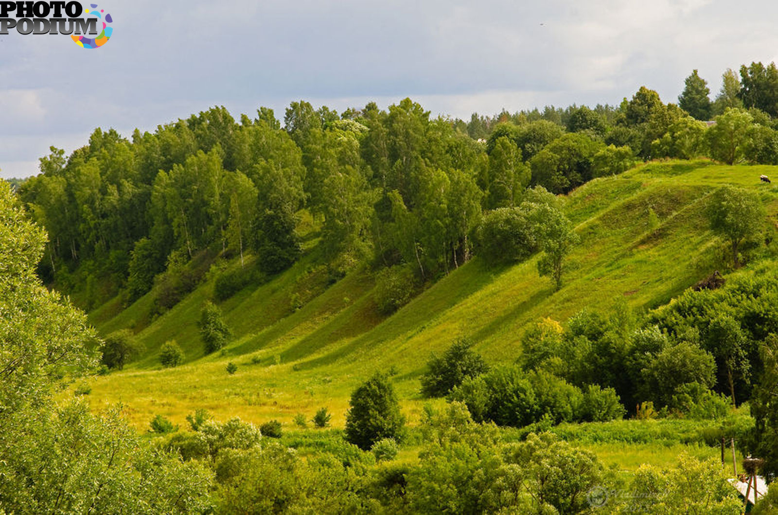 горы в брянской области