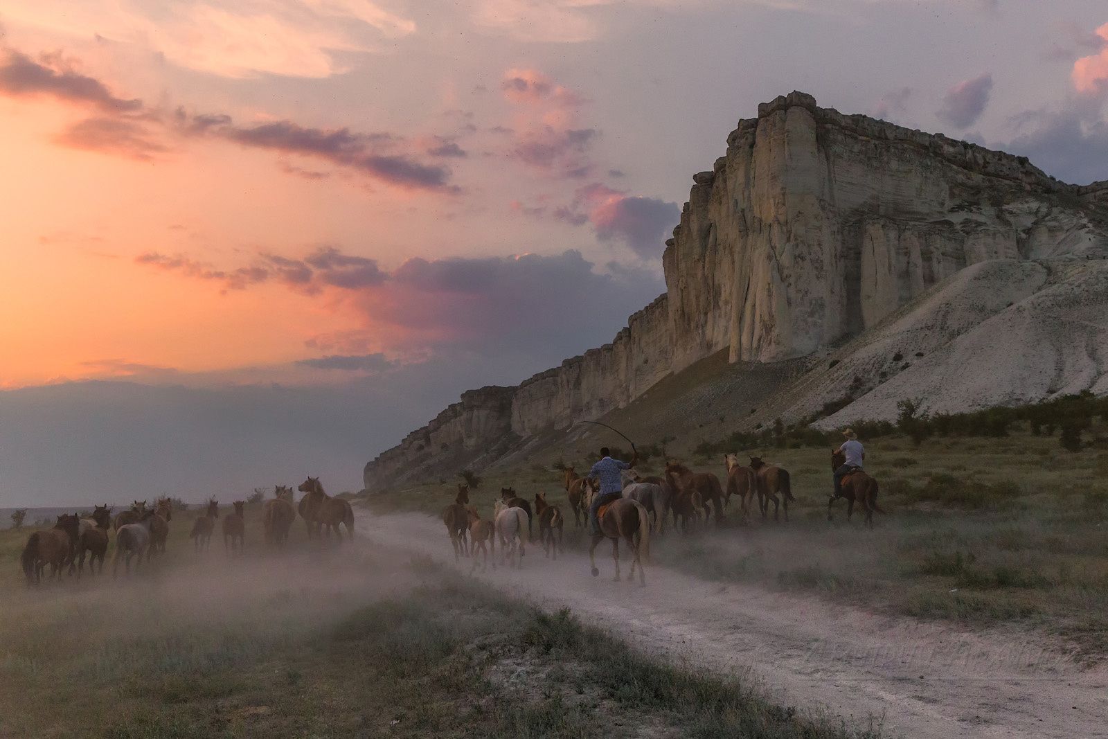 Белая скала Крым перегон лошадей