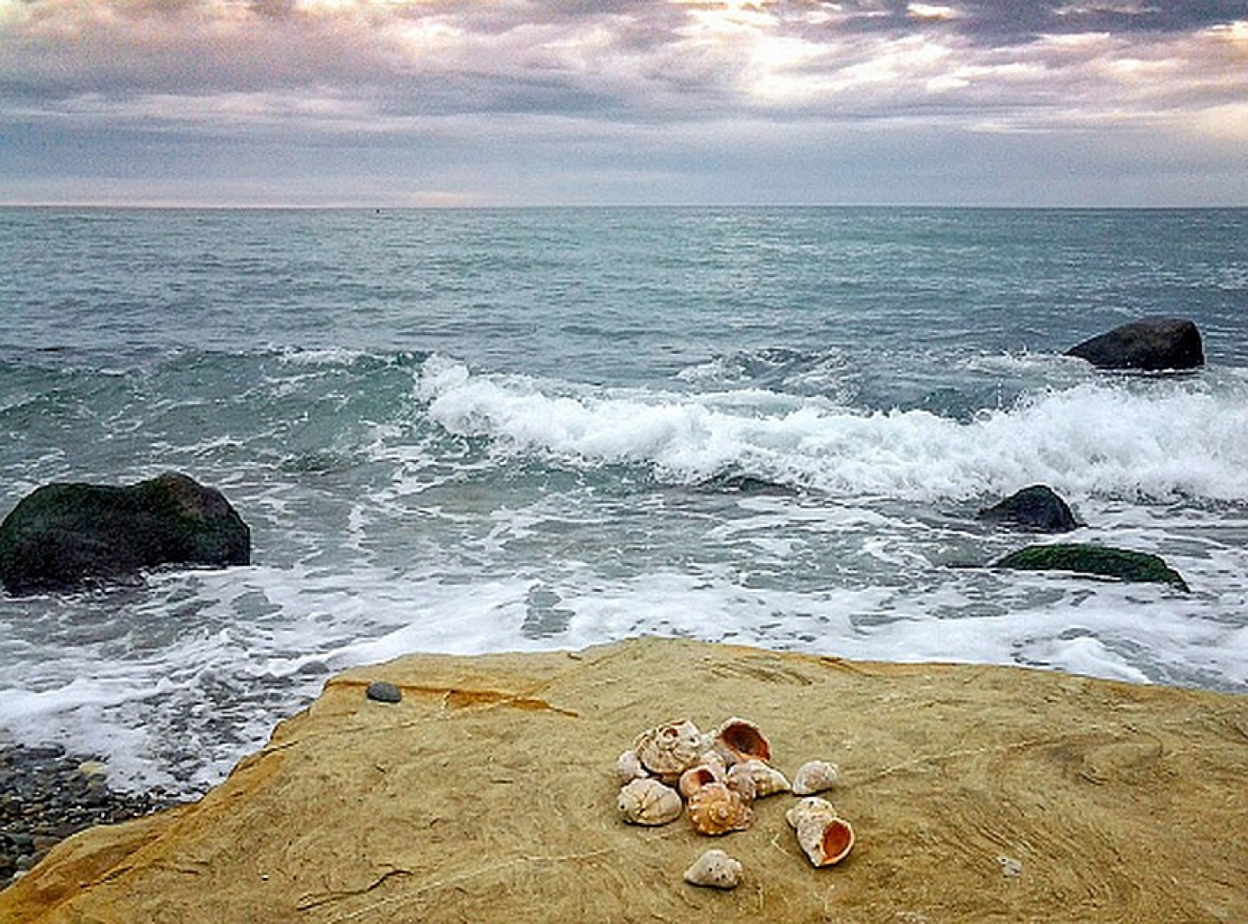 все о черном море сочи