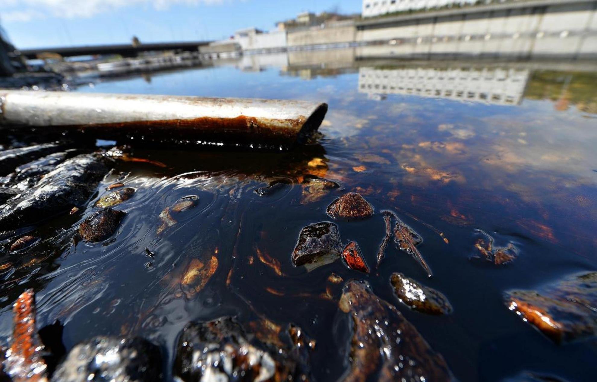 Загрязнение нефтью и нефтепродуктами