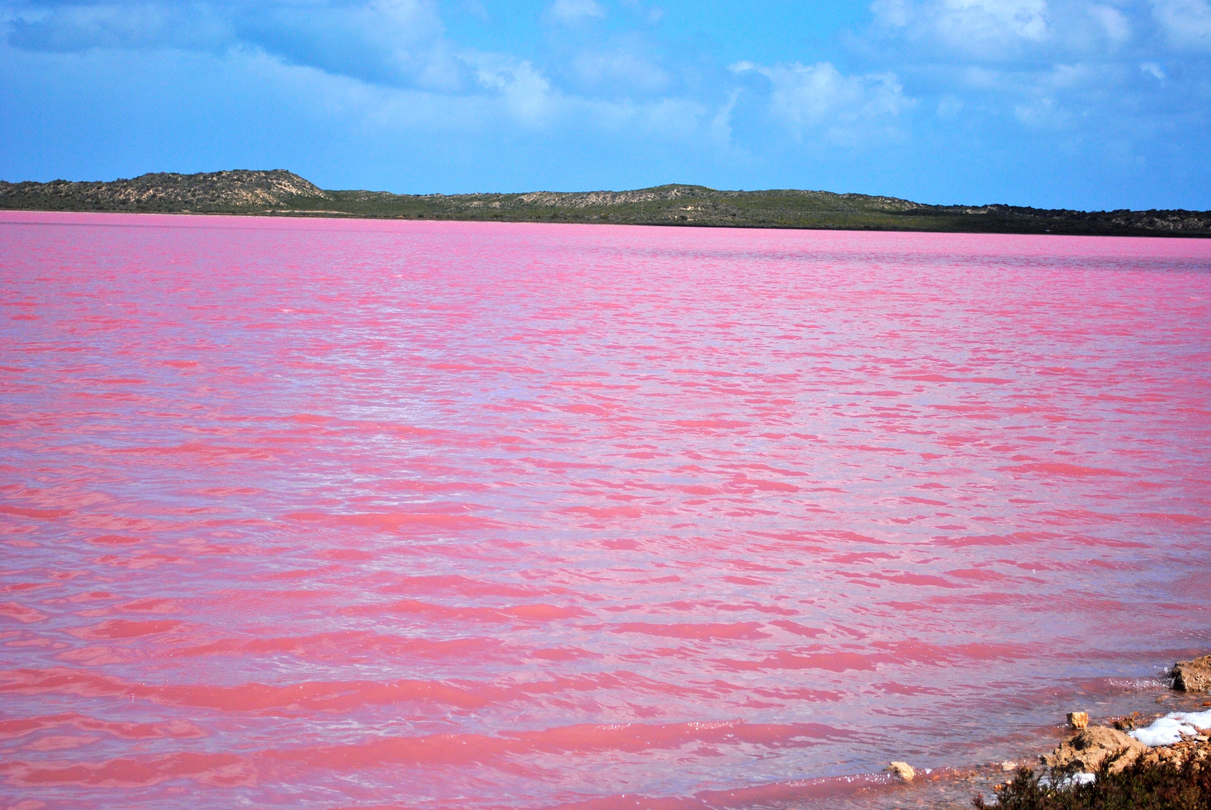 розовое море